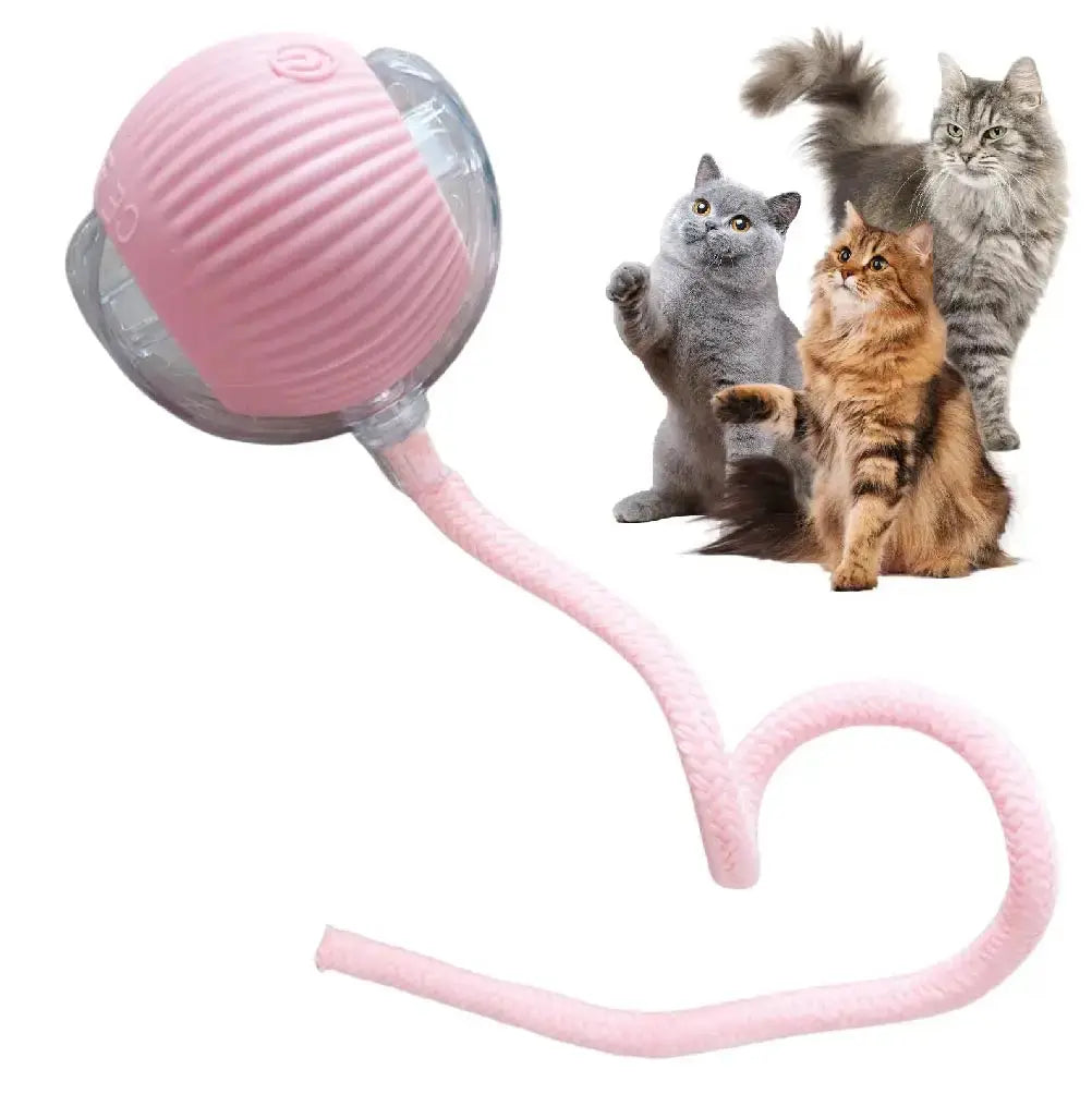 Automatic Rolling Ball Cat Toy - Planet4Shopping