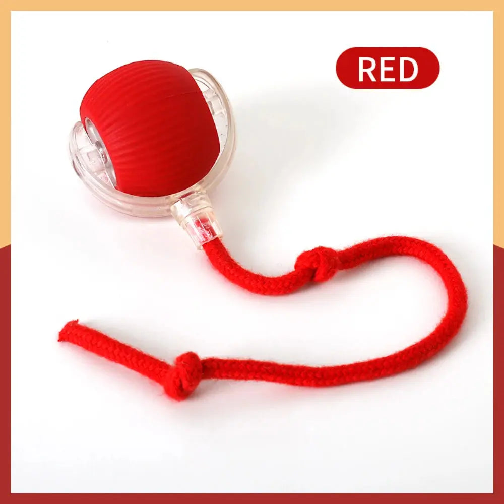 Automatic Rolling Ball Cat Toy - Planet4Shopping