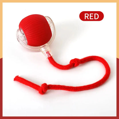 Automatic Rolling Ball Cat Toy - Planet4Shopping