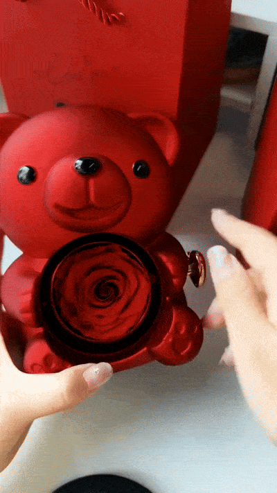 Eternal Rose Teddy Bear with Necklace - Planet4Shopping