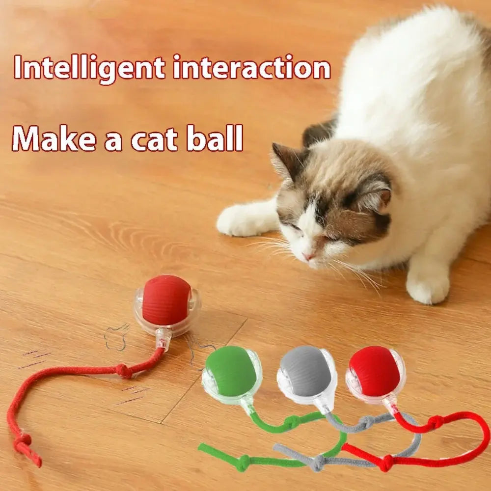 Automatic Rolling Ball Cat Toy - Planet4Shopping