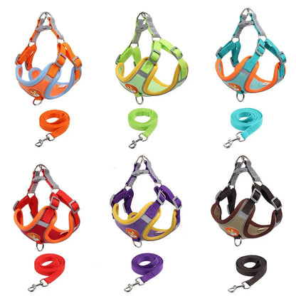 Pet Cat Harness And Leash Set - Planet4Shopping