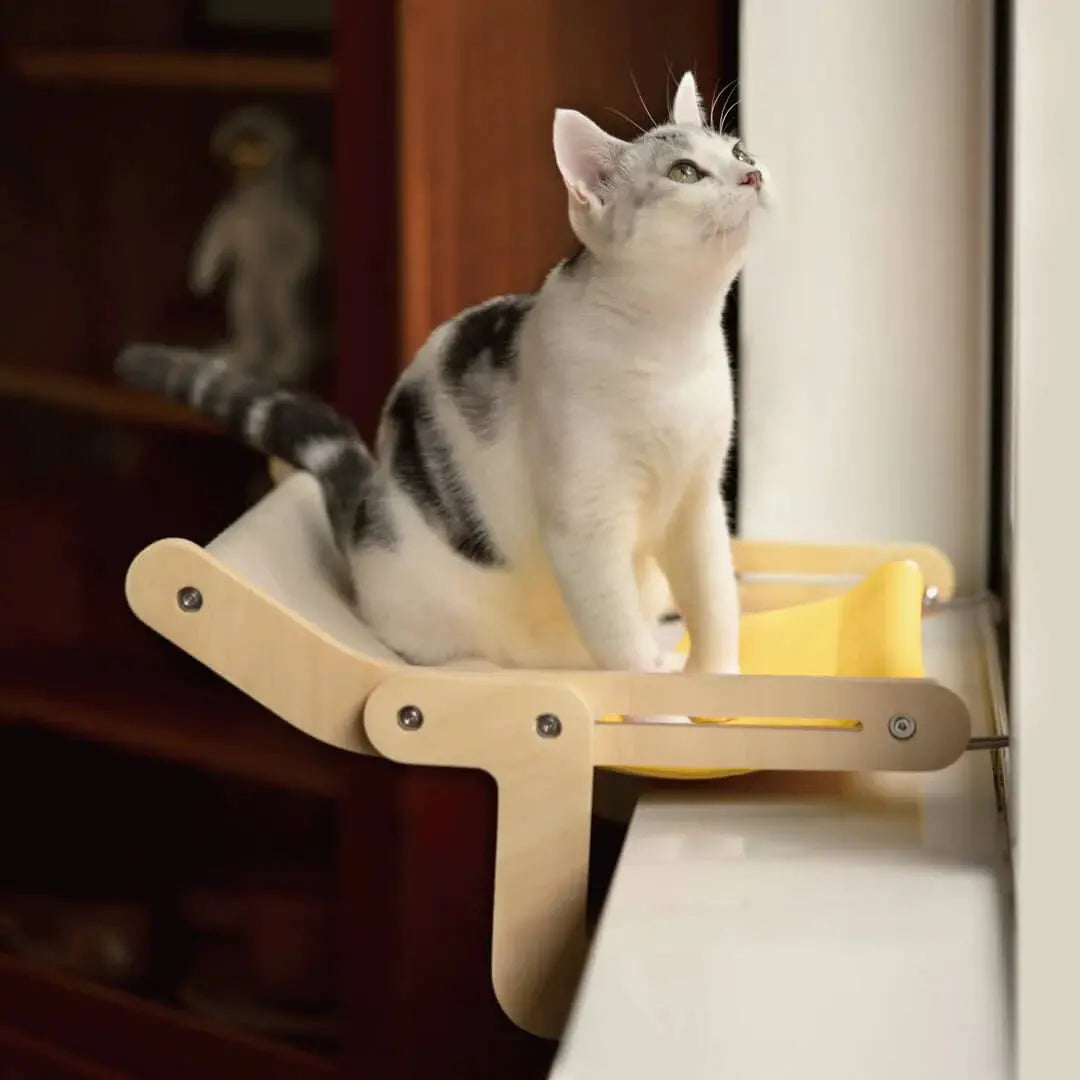 Sturdy Hanging Cat Bed - Planet4Shopping
