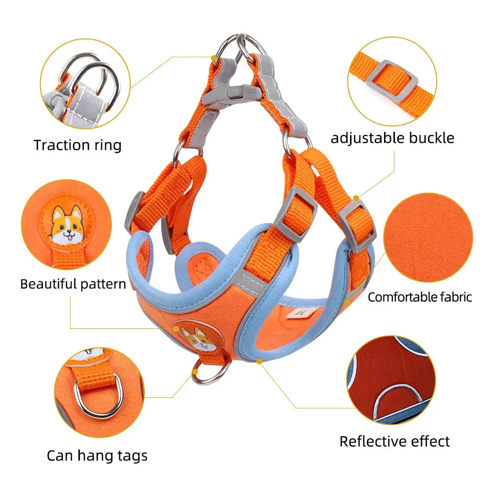 Pet Cat Harness And Leash Set - Planet4Shopping