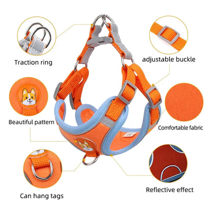 Pet Cat Harness And Leash Set - Planet4Shopping