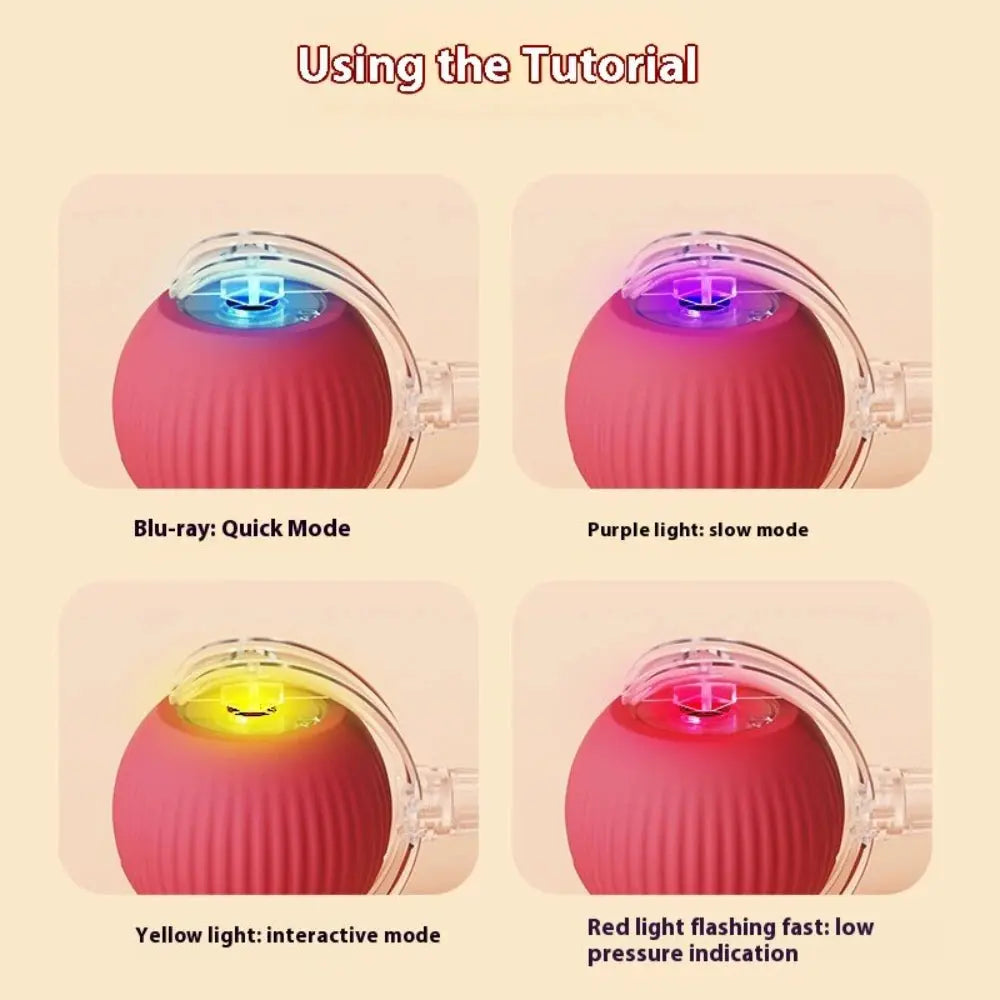 Automatic Rolling Ball Cat Toy - Planet4Shopping