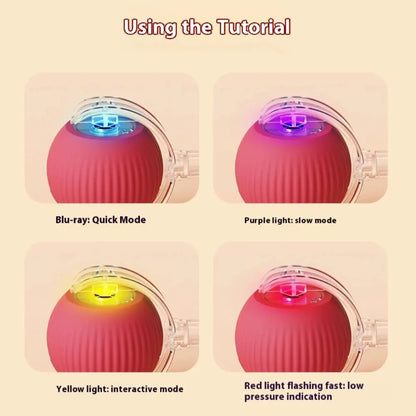Automatic Rolling Ball Cat Toy - Planet4Shopping