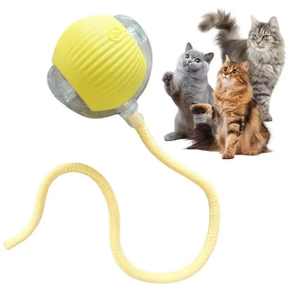Automatic Rolling Ball Cat Toy - Planet4Shopping