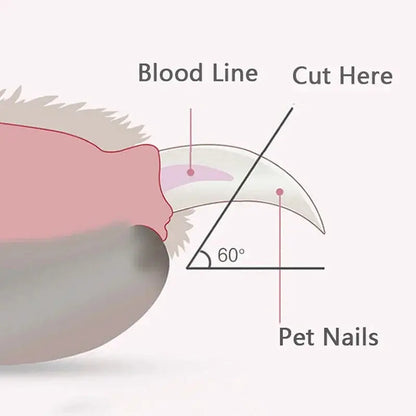 Pet Nail Clipper with Led Light - Planet4Shopping
