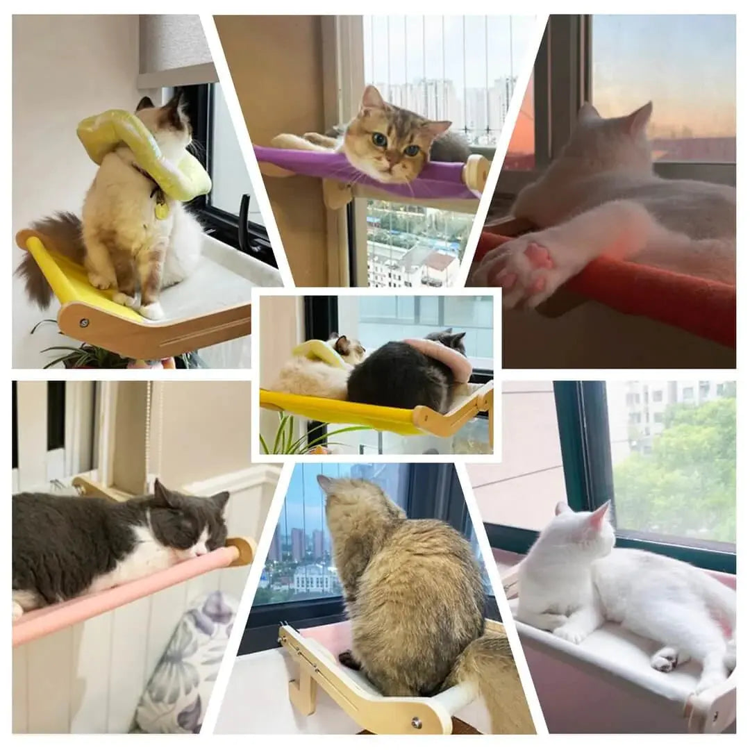 Sturdy Hanging Cat Bed - Planet4Shopping