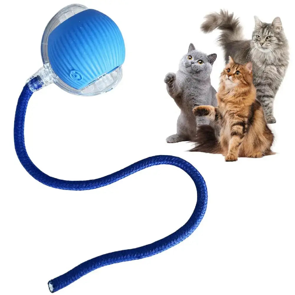 Automatic Rolling Ball Cat Toy - Planet4Shopping