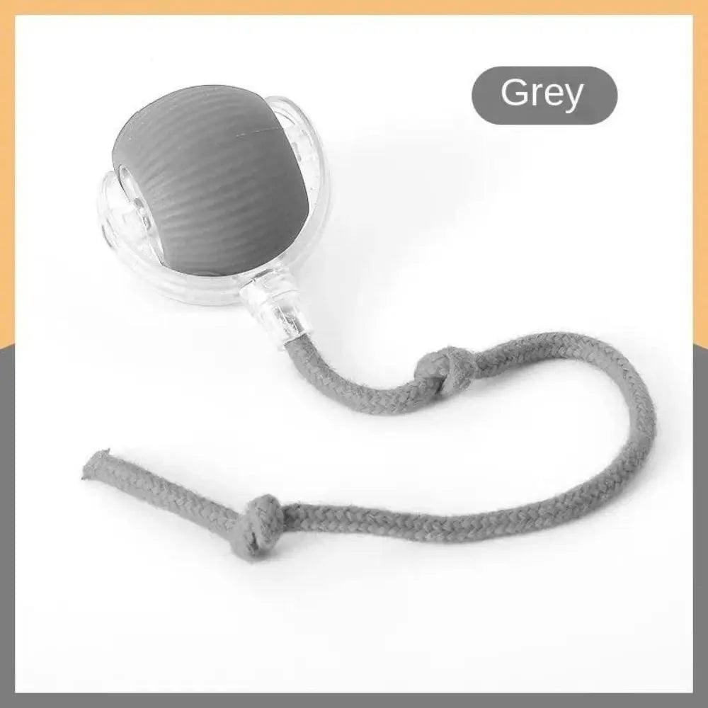 Automatic Rolling Ball Cat Toy - Planet4Shopping