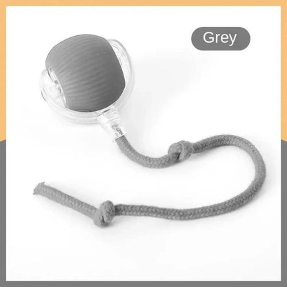 Automatic Rolling Ball Cat Toy - Planet4Shopping