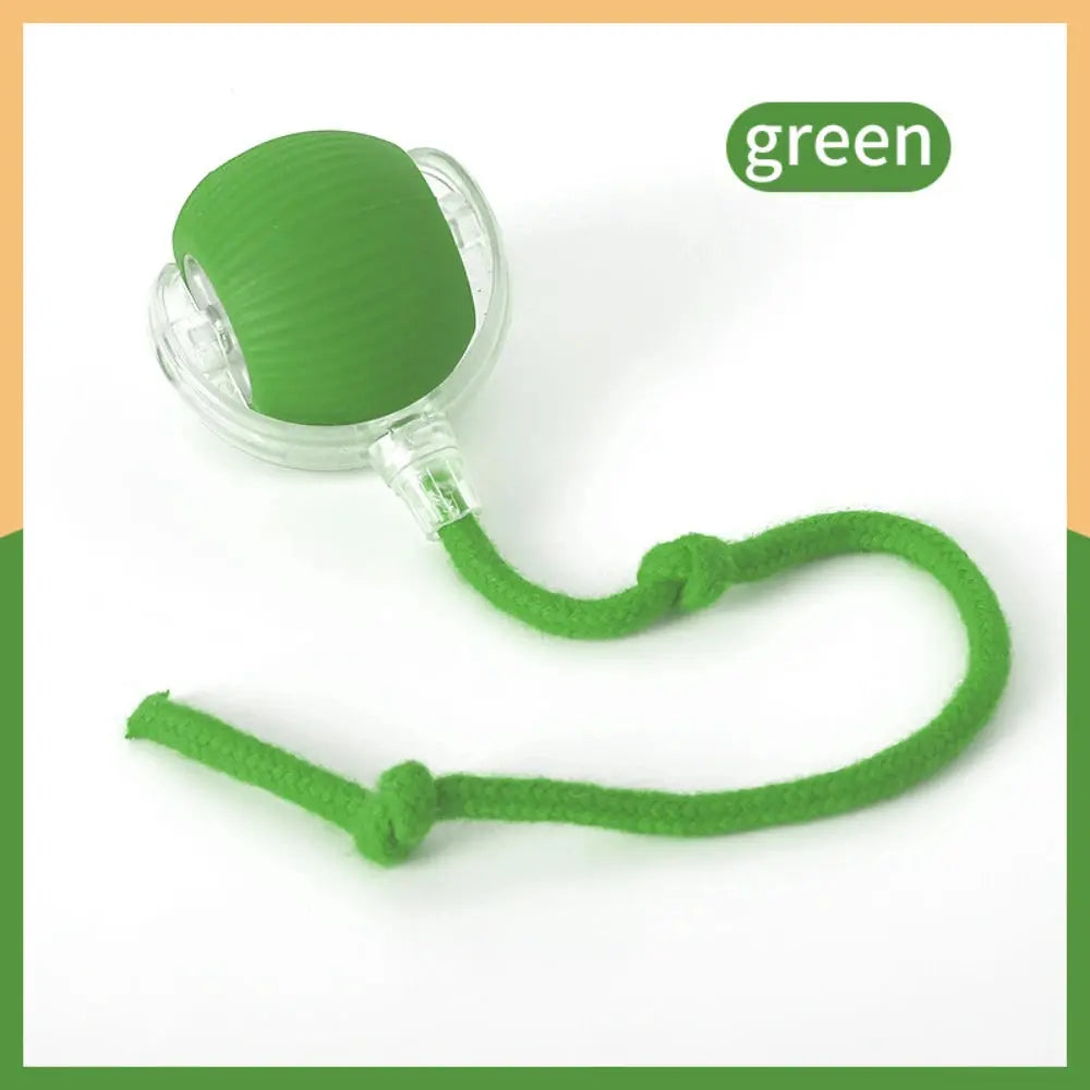 Automatic Rolling Ball Cat Toy - Planet4Shopping